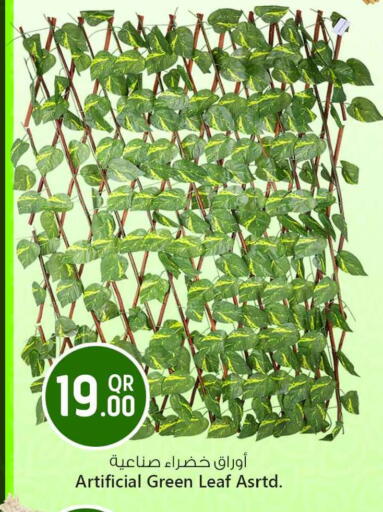 available at سفاري هايبر ماركت in قطر - الخور