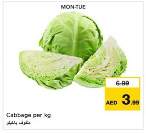 Cabbage available at نستو هايبرماركت in الإمارات العربية المتحدة , الامارات - رَأْس ٱلْخَيْمَة