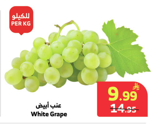 available at الراية in مملكة العربية السعودية, السعودية, سعودية - جدة