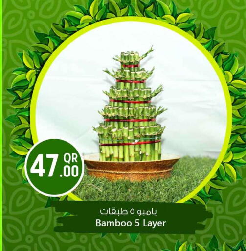 available at سفاري هايبر ماركت in قطر - الضعاين
