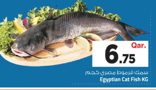 available at Mark & Save  in Qatar - Doha
