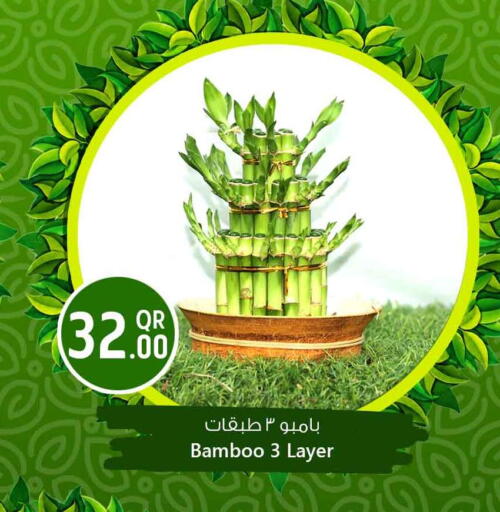 available at سفاري هايبر ماركت in قطر - الخور