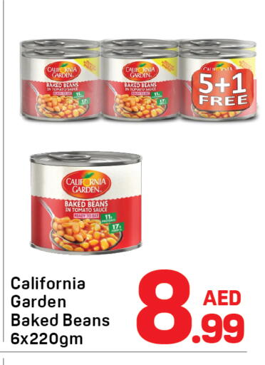 Tomato available at Day to Day Department Store in UAE - Sharjah / Ajman