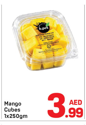 Mango available at دي تو دي in الإمارات العربية المتحدة , الامارات - الشارقة / عجمان
