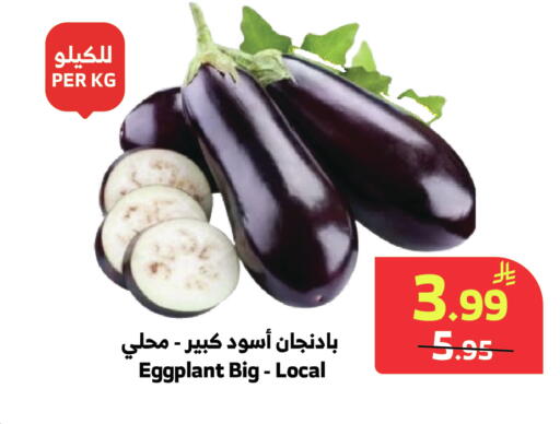Eggplant available at Al Raya in KSA, Saudi Arabia, Saudi - Tabuk