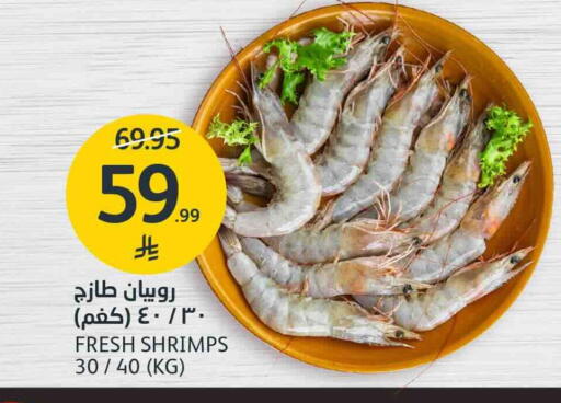 available at أسواق الجزيرة in مملكة العربية السعودية, السعودية, سعودية - الرياض