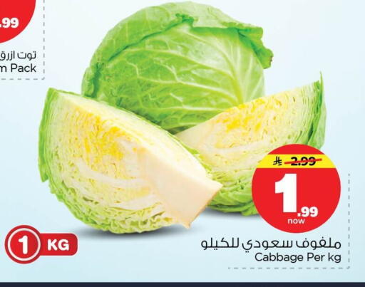 Cabbage available at نستو in مملكة العربية السعودية, السعودية, سعودية - المنطقة الشرقية