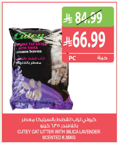 available at المزرعة in مملكة العربية السعودية, السعودية, سعودية - الباحة