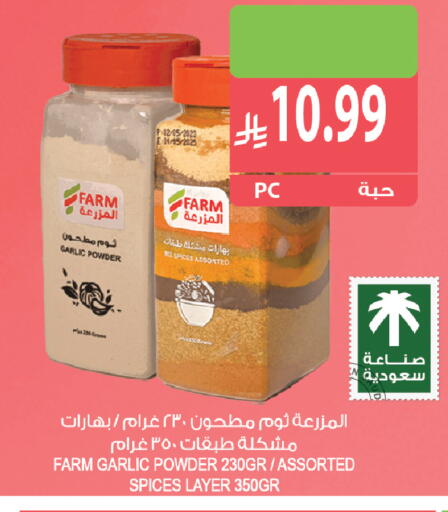 Garlic available at Farm  in KSA, Saudi Arabia, Saudi - Yanbu