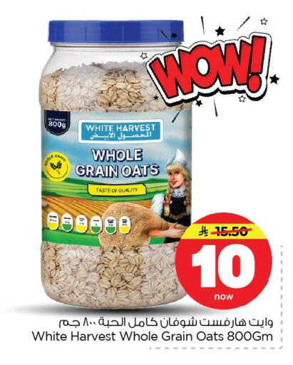 available at Nesto in KSA, Saudi Arabia, Saudi - Dammam