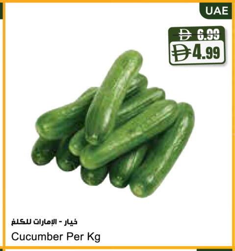 Cucumber available at المايا سوبرماركت in الإمارات العربية المتحدة , الامارات - ٱلْعَيْن‎