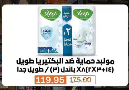 available at Beit El Gomla in Egypt - Cairo