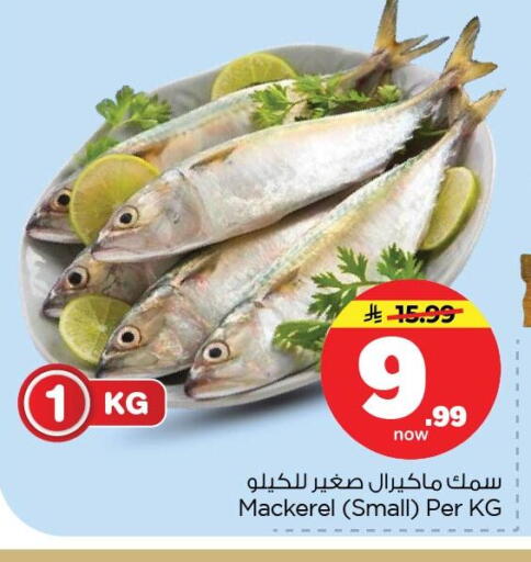 available at نستو in مملكة العربية السعودية, السعودية, سعودية - الأحساء‎