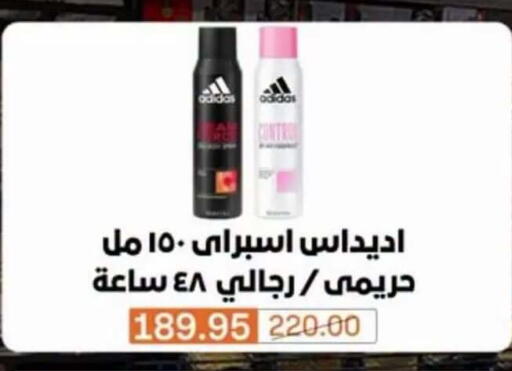available at Beit El Gomla in Egypt - Cairo