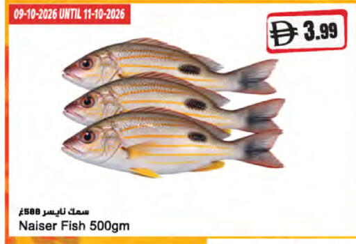 available at المايا سوبرماركت in الإمارات العربية المتحدة , الامارات - ٱلْعَيْن‎