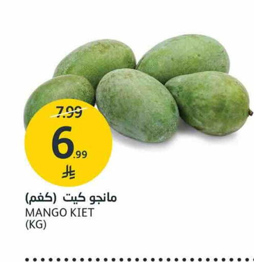 Mango available at AlJazera Shopping Center in KSA, Saudi Arabia, Saudi - Riyadh
