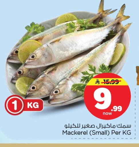 available at نستو in مملكة العربية السعودية, السعودية, سعودية - الخبر‎