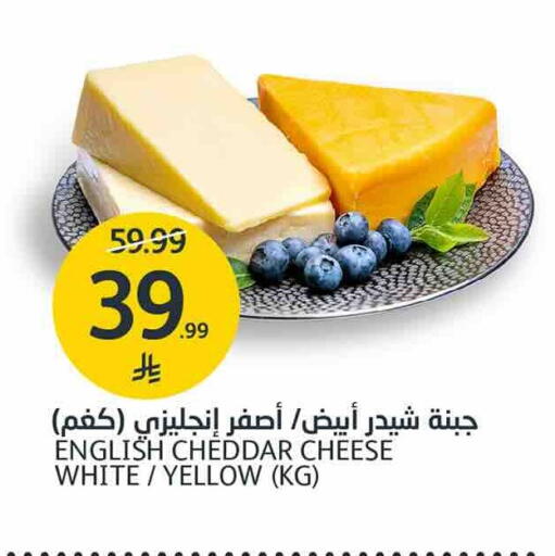 available at أسواق الجزيرة in مملكة العربية السعودية, السعودية, سعودية - الرياض