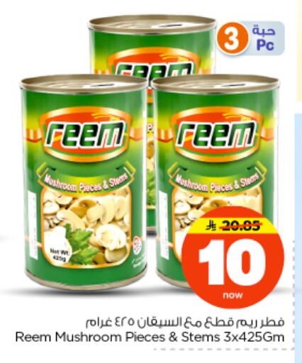 Mushroom available at نستو in مملكة العربية السعودية, السعودية, سعودية - الرياض