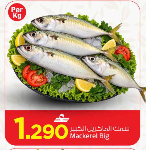 available at مارك & سايف in عُمان - مسقط‎