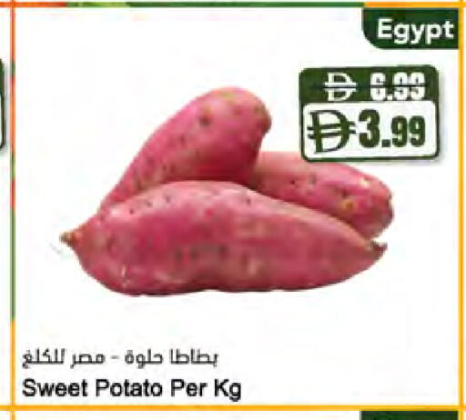 Sweet Potato from Egypt available at المايا سوبرماركت in الإمارات العربية المتحدة , الامارات - ٱلْعَيْن‎