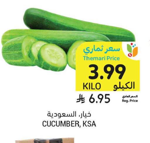 Cucumber available at أسواق التميمي in مملكة العربية السعودية, السعودية, سعودية - الخبر‎