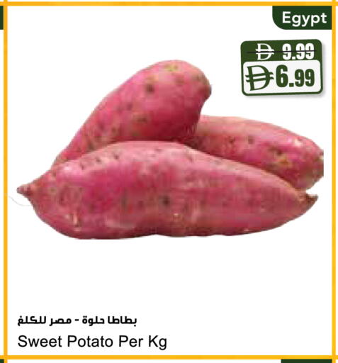 Sweet Potato from Egypt available at المايا سوبرماركت in الإمارات العربية المتحدة , الامارات - ٱلْعَيْن‎