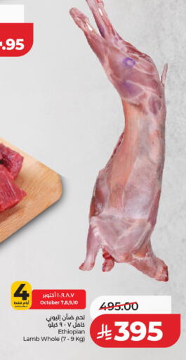available at لولو هايبرماركت in مملكة العربية السعودية, السعودية, سعودية - حائل‎
