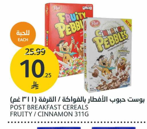 Cinnamon available at أسواق الجزيرة in مملكة العربية السعودية, السعودية, سعودية - الرياض