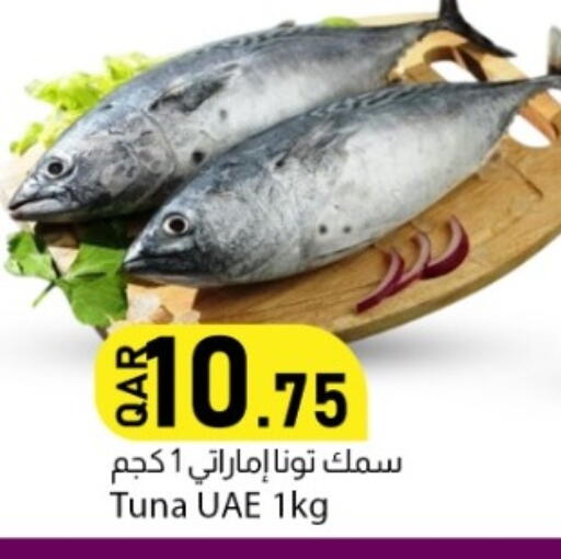 available at دانا ماركت in قطر - الشحانية