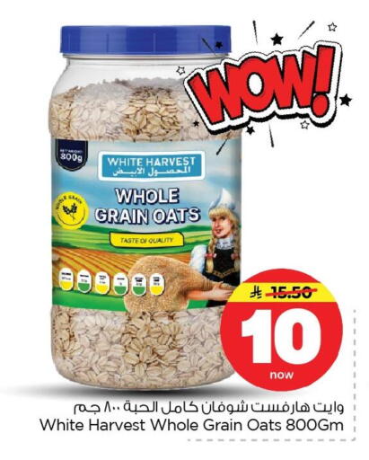 available at نستو in مملكة العربية السعودية, السعودية, سعودية - الأحساء‎