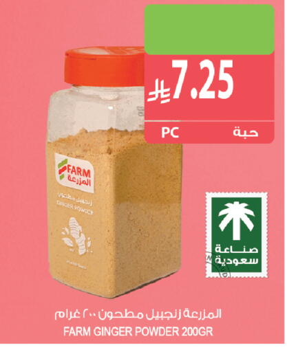 Ginger available at Farm  in KSA, Saudi Arabia, Saudi - Sakaka