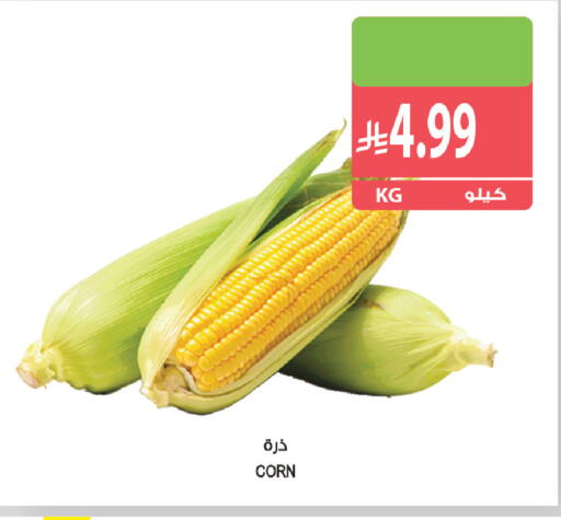 available at المزرعة in مملكة العربية السعودية, السعودية, سعودية - ينبع
