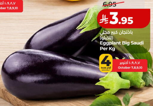 Eggplant from Saudi Arabia available at لولو هايبرماركت in مملكة العربية السعودية, السعودية, سعودية - الخبر‎