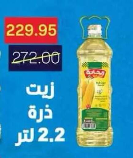 available at Beit El Gomla in Egypt - Cairo