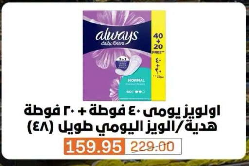 available at Beit El Gomla in Egypt - Cairo