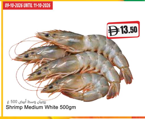 available at المايا سوبرماركت in الإمارات العربية المتحدة , الامارات - ٱلْعَيْن‎