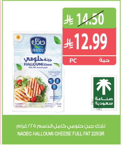 Date available at Farm  in KSA, Saudi Arabia, Saudi - Yanbu