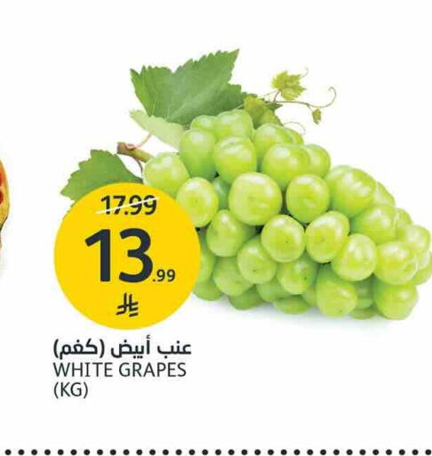 Grapes available at AlJazera Shopping Center in KSA, Saudi Arabia, Saudi - Riyadh