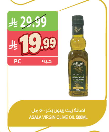 available at المزرعة in مملكة العربية السعودية, السعودية, سعودية - تبوك