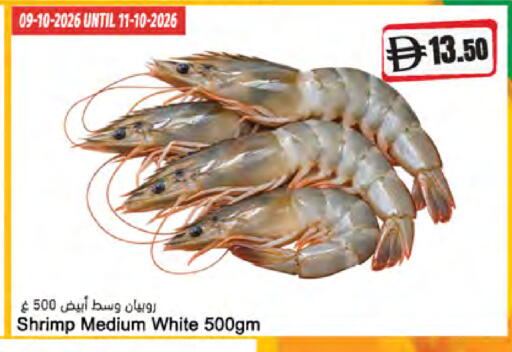 available at المايا سوبرماركت in الإمارات العربية المتحدة , الامارات - ٱلْعَيْن‎