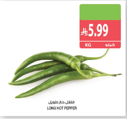 Pepper available at المزرعة in مملكة العربية السعودية, السعودية, سعودية - ينبع