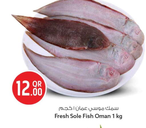 available at Safari Hypermarket in Qatar - Al Wakra