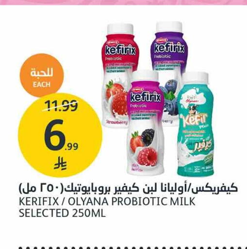 Strawberry available at AlJazera Shopping Center in KSA, Saudi Arabia, Saudi - Riyadh