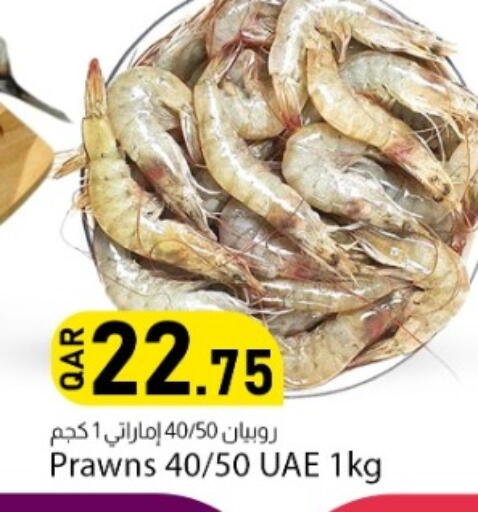 available at دانا ماركت in قطر - الشحانية