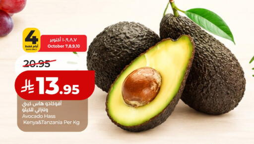 Avocado from Kenya Tanzania available at لولو هايبرماركت in مملكة العربية السعودية, السعودية, سعودية - حائل‎