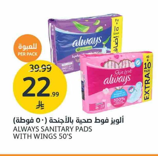 available at أسواق الجزيرة in مملكة العربية السعودية, السعودية, سعودية - الرياض