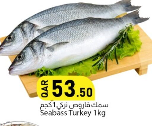 available at دانا ماركت in قطر - الدوحة