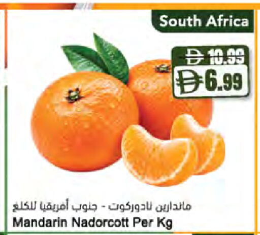 Mandarin from South Africa available at المايا سوبرماركت in الإمارات العربية المتحدة , الامارات - ٱلْعَيْن‎