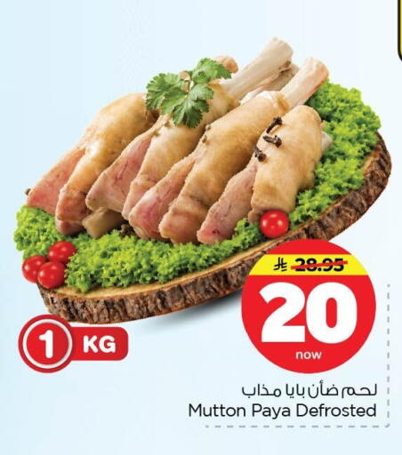 available at نستو in مملكة العربية السعودية, السعودية, سعودية - الخبر‎